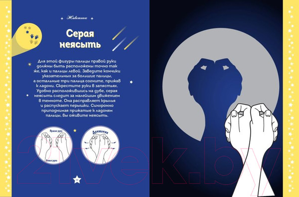 Изображение товара Книга Эксмо Театр теней. Большая книга / 9785041626518