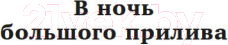 Изображение товара Книга Азбука В ночь большого прилива / 9785389243743 (Крапивин В.)