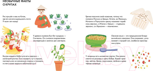 Изображение товара Энциклопедия Альпина Я знаю, что я ем. Крупы / 9785961489781 (Кардакова М.)