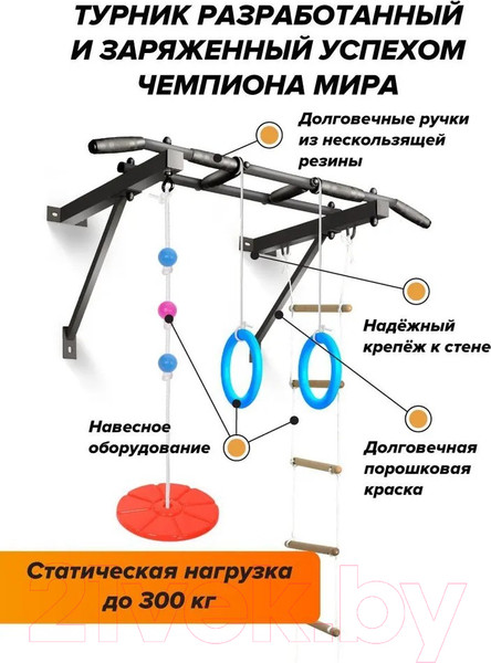 Изображение товара Турник Absolute Champion Оптимист / АЧ 10045 (тарзанка, лестница, кольца, черный, черные ручки)