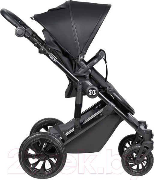 Изображение товара Детская универсальная коляска Farfello Molly Trio 3 в 1 (Total Black)