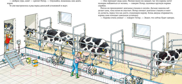 Изображение товара Книга Альпина Цвета. Рассказы / 9785961488852