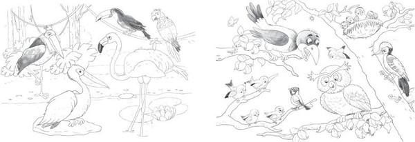 Изображение товара Раскраска Эксмо Многоразовая водная раскраска. Животные, мягкая обложка