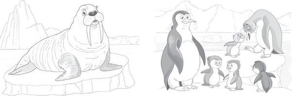 Изображение товара Раскраска Эксмо Многоразовая водная раскраска. Животные, мягкая обложка