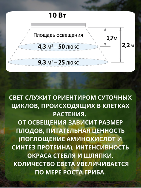 Изображение товара Светильник для растений Uniel ULT-P91-10W/STUM IP66 / UL-00011274