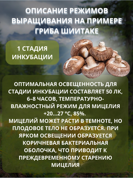 Изображение товара Светильник для растений Uniel ULT-P91-10W/STUM IP66 / UL-00011274