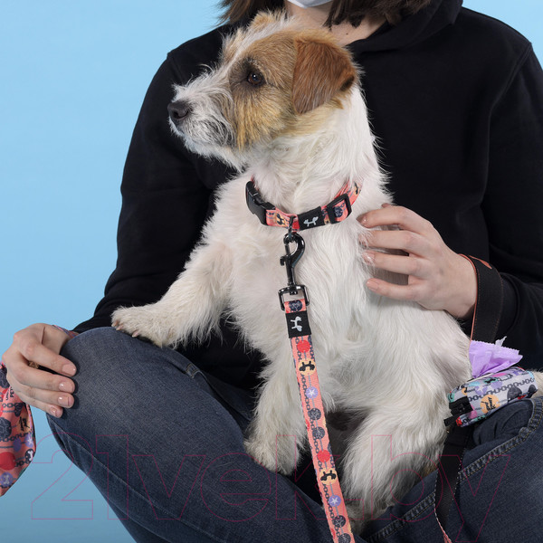 Изображение товара Ошейник United Pets Complete Me Forever M (оранжевый с рисунком)