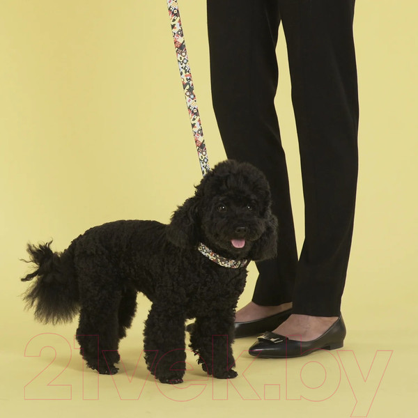 Изображение товара Поводок United Pets Complete Me 120см, 2.5см (разноцветный рисунок)