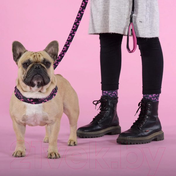 Изображение товара Шлея United Pets Complete Me Identity 3.5x48-64см (черный/розовый)