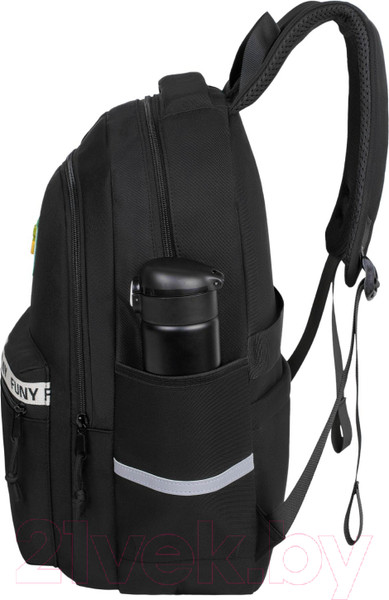 Изображение товара Школьный рюкзак Merlin M557 (черный)