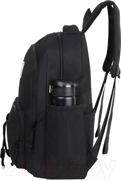 Изображение товара Школьный рюкзак Merlin M209 (черный)