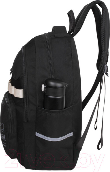 Изображение товара Школьный рюкзак Merlin M306 (черный)