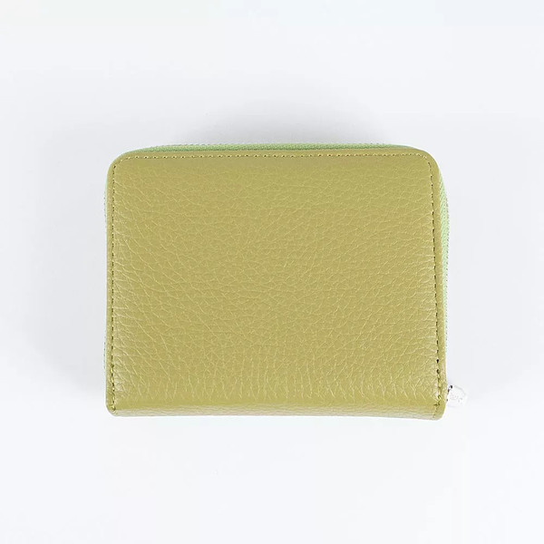 Изображение товара Портмоне Passo Avanti 920-H1219-SLD (светло-зеленый)