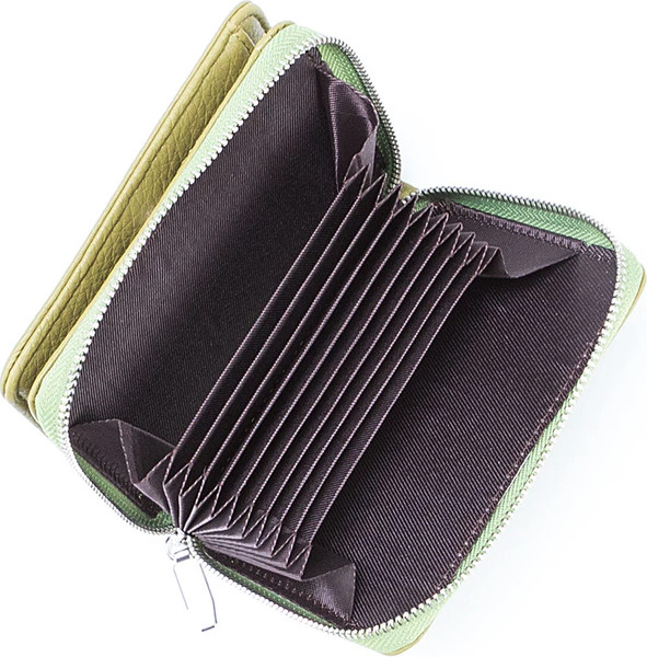 Изображение товара Портмоне Passo Avanti 920-H1219-SLD (светло-зеленый)