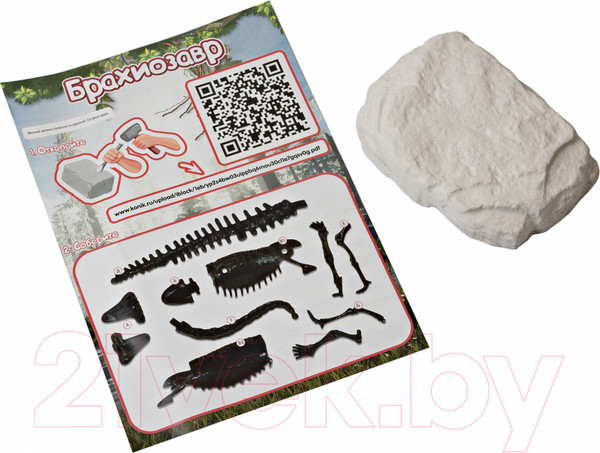 Изображение товара Набор для опытов Konik Science Раскопки ископаемых животных Брахиозавр / SSE021