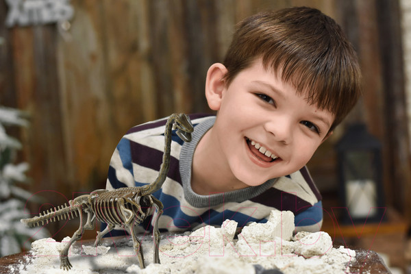 Изображение товара Набор для опытов Konik Science Раскопки ископаемых животных Брахиозавр / SSE021