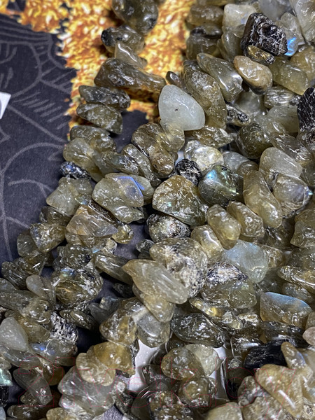 Изображение товара Бусы Wolves Лабрадор 1011