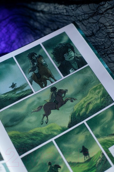 Изображение товара Комикс МИФ Грозовой перевал. Графический роман / 9785002143030 (Ян, Эдит)