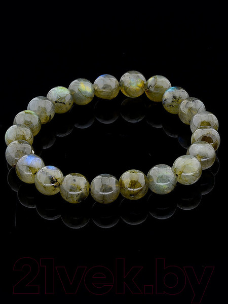 Изображение товара Браслет Wolves Лабрадор 40467 (р.21)