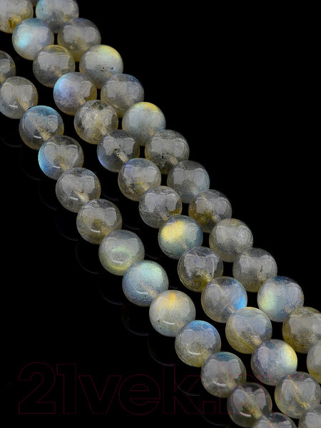 Изображение товара Браслет Wolves Лабрадор 40467 (р.21)