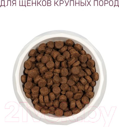 Изображение товара Сухой корм для собак Award Puppy Large с курицей и индейкой с тыквой и шиповником / 7175697 (12кг)