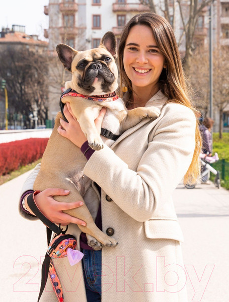 Изображение товара Поводок United Pets Complete Me 140см, 2см (оранжевый/голубой)
