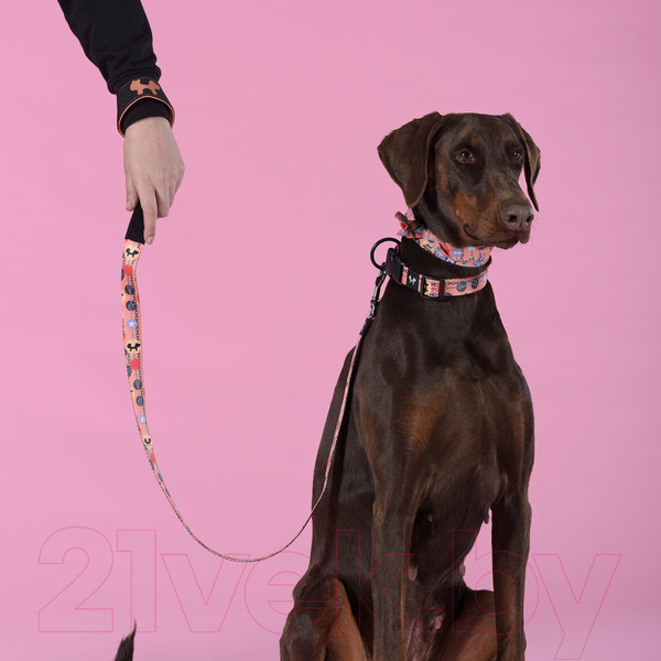 Изображение товара Поводок United Pets Complete Me Forever 140см, 2см (оранжевый с рисунком)
