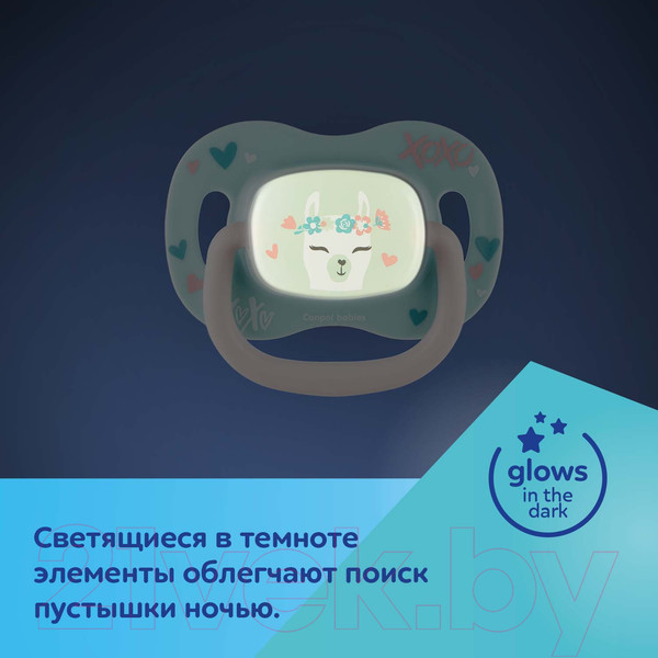 Изображение товара Пустышка Canpol Exotic Animals силиконовая симметричная 6-18мес / 34/921 (ленивец)