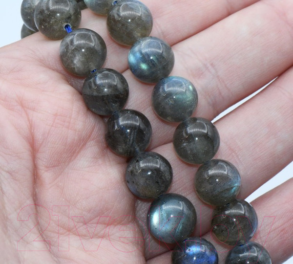 Изображение товара Чокер Wolves Лабрадор 40858