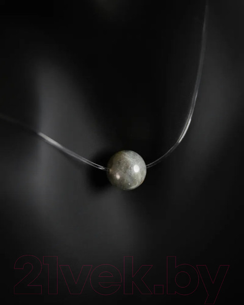 Изображение товара Чокер Wolves Лабрадор 40858