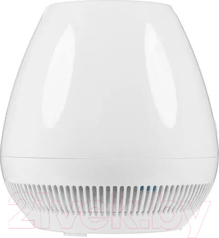 Изображение товара Мойка воздуха Royal Clima RAW-B350/4.2E-WT