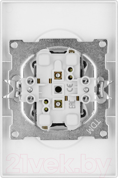Изображение товара Розетка TDM Сенеж / SQ1816-0235 (серебрянный металлик)