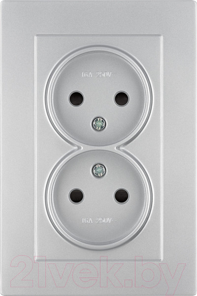 Изображение товара Розетка TDM Сенеж / SQ1816-0235 (серебрянный металлик)