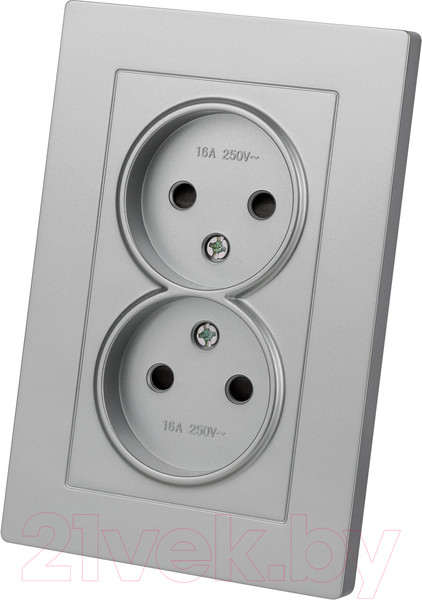 Изображение товара Розетка TDM Сенеж / SQ1816-0235 (серебрянный металлик)
