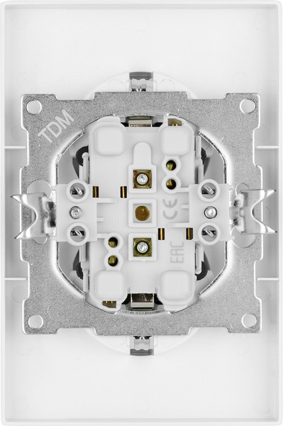 Изображение товара Розетка TDM Сенеж / SQ1816-0237 (серебрянный металлик)