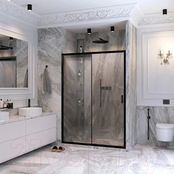 Изображение товара Душевая дверь Ambassador Forsa 110x200 / 17021217AB