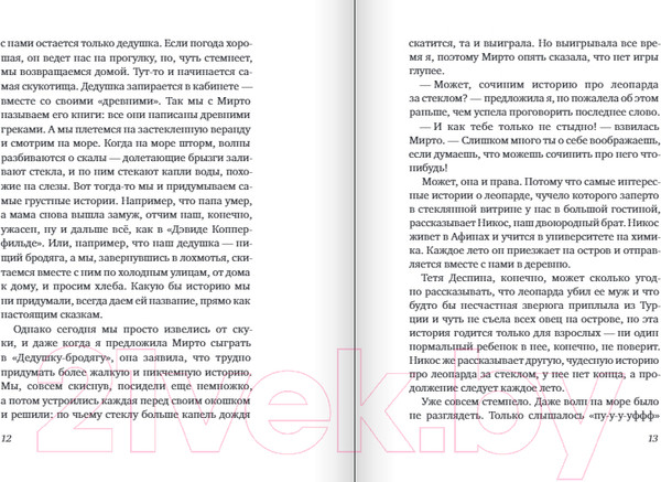 Изображение товара Книга Издательство Самокат Леопард за стеклом / 9785001675716 (Зеи А.)