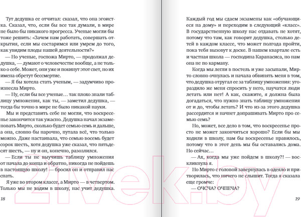 Изображение товара Книга Издательство Самокат Леопард за стеклом / 9785001675716 (Зеи А.)