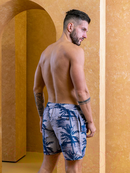 Изображение товара Шорты Isee JY41064 (р.48, серый)