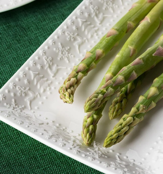 Изображение товара Блюдо Tudor England TU3928