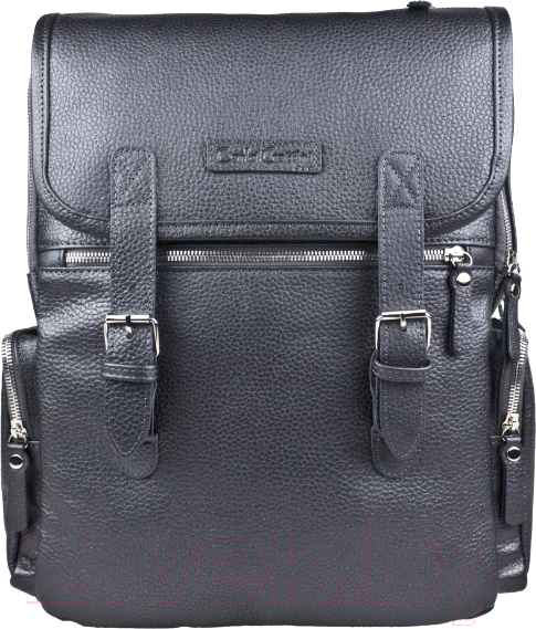 Изображение товара Рюкзак Carlo Gattini Premium Santerno / 3007-55 (железно-серый)