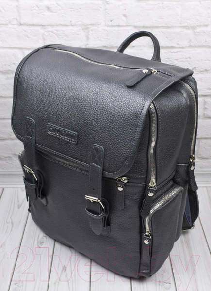 Изображение товара Рюкзак Carlo Gattini Premium Santerno / 3007-55 (железно-серый)