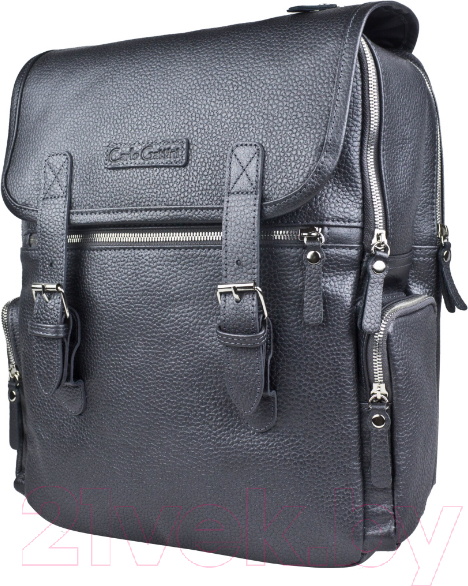 Изображение товара Рюкзак Carlo Gattini Premium Santerno / 3007-55 (железно-серый)