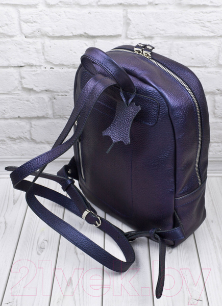 Изображение товара Рюкзак Carlo Gattini Premium Anzolla / 3040-56 (индиго)