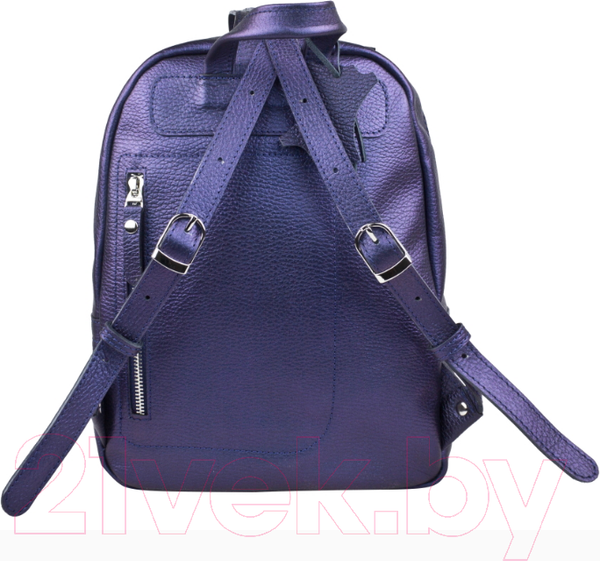 Изображение товара Рюкзак Carlo Gattini Premium Anzolla / 3040-56 (индиго)