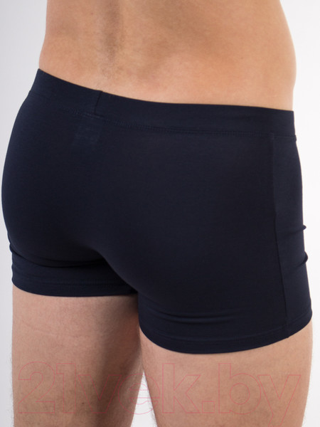 Изображение товара Трусы мужские Aloha Mare 7006 (р.48, темно-синий)
