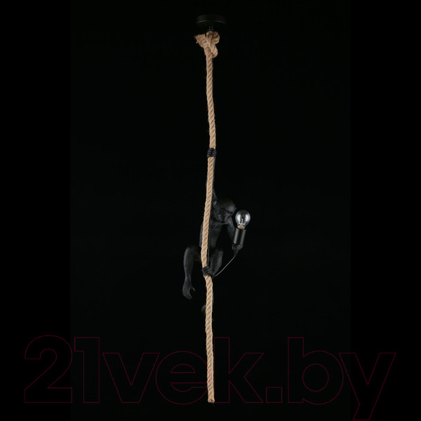 Изображение товара Потолочный светильник Aployt Magali APL.309.16.01