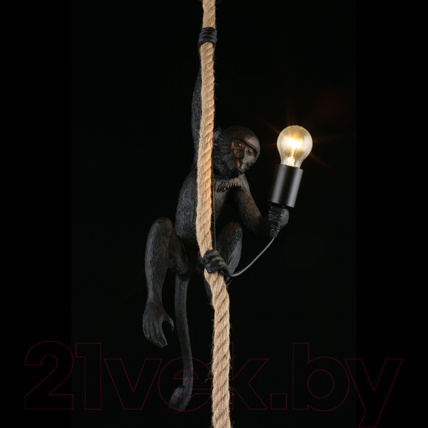 Изображение товара Потолочный светильник Aployt Magali APL.309.16.01