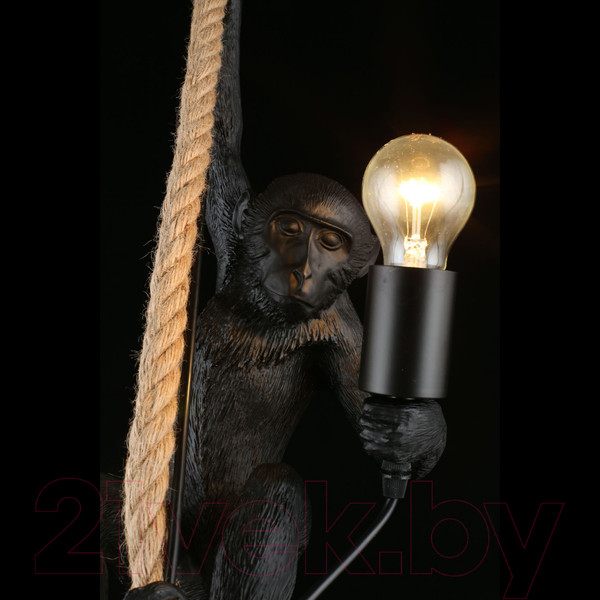 Изображение товара Потолочный светильник Aployt Magali APL.309.16.01