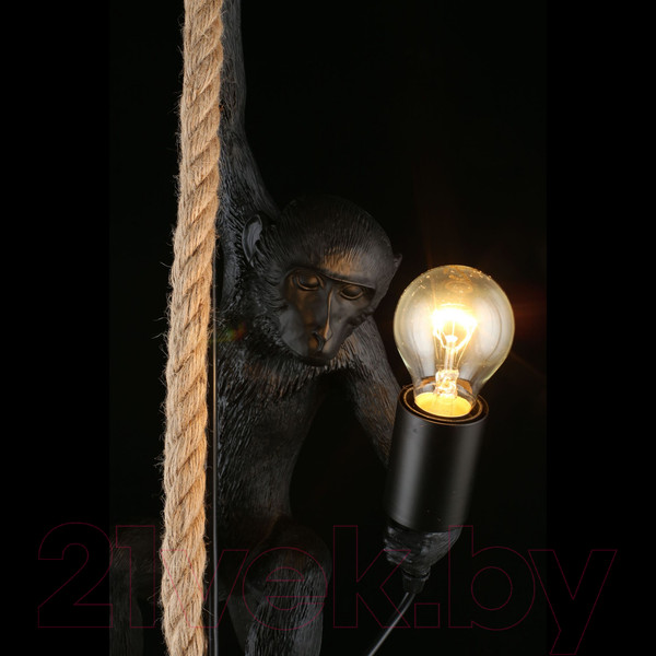 Изображение товара Потолочный светильник Aployt Magali APL.309.16.01